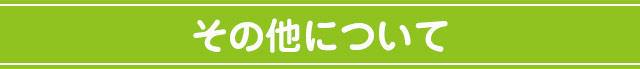 その他について